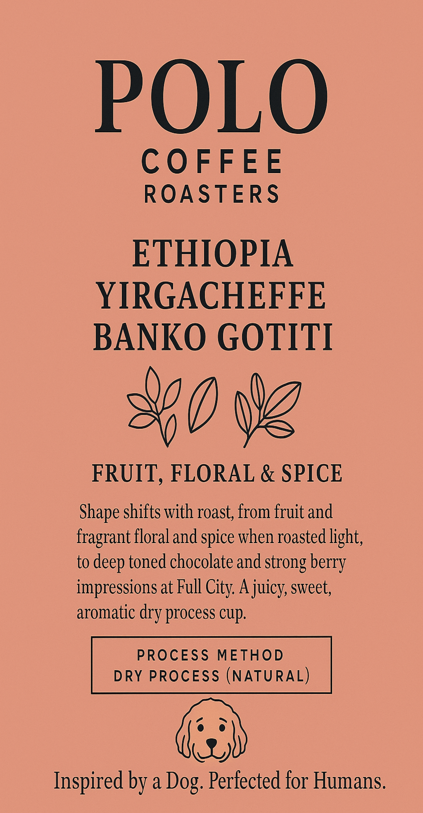 Ethiopia - Yirgacheffe Banko Gotiti