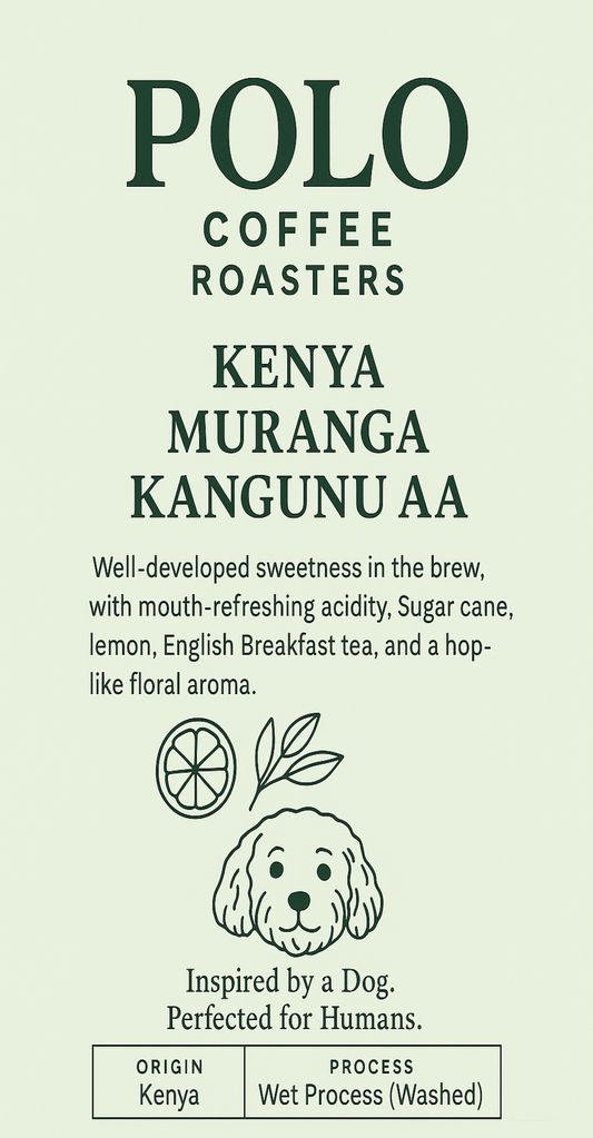 Kenya - Muranga Kangunu AA