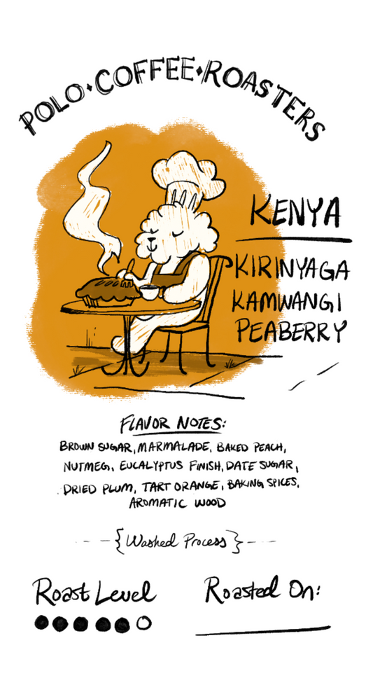 Kenya – Kirinyaga Kamwangi Peaberry